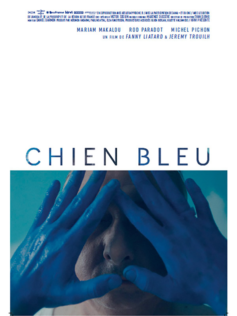 chien-bleu_resized